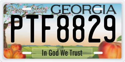 GA license plate PTF8829