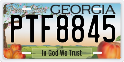 GA license plate PTF8845