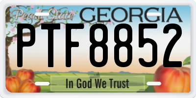 GA license plate PTF8852