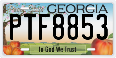 GA license plate PTF8853