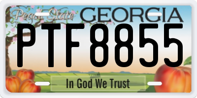 GA license plate PTF8855