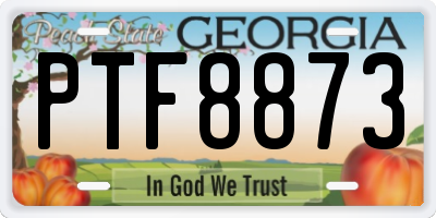 GA license plate PTF8873