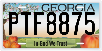 GA license plate PTF8875
