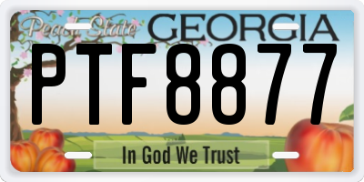 GA license plate PTF8877