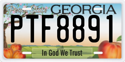 GA license plate PTF8891