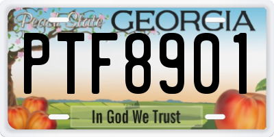 GA license plate PTF8901