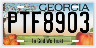 GA license plate PTF8903