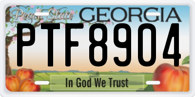 GA license plate PTF8904