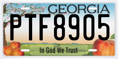 GA license plate PTF8905
