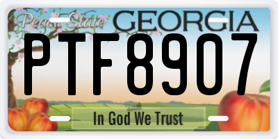 GA license plate PTF8907