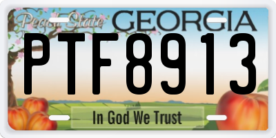 GA license plate PTF8913