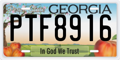 GA license plate PTF8916