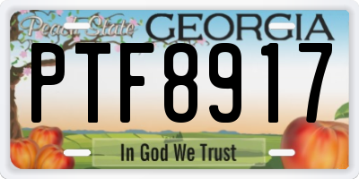 GA license plate PTF8917