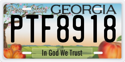 GA license plate PTF8918