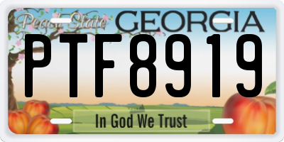 GA license plate PTF8919