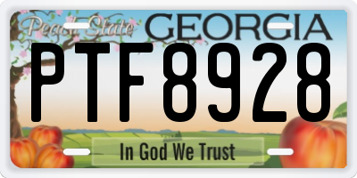 GA license plate PTF8928