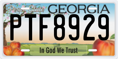 GA license plate PTF8929