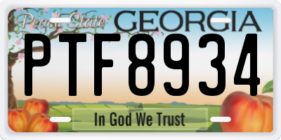 GA license plate PTF8934