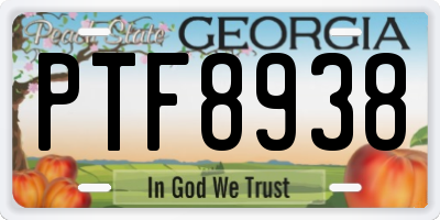 GA license plate PTF8938