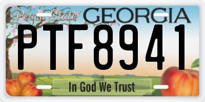 GA license plate PTF8941