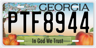 GA license plate PTF8944