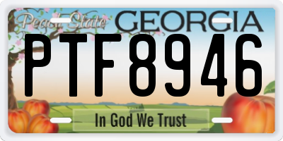 GA license plate PTF8946