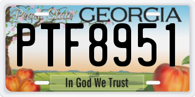 GA license plate PTF8951