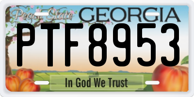 GA license plate PTF8953
