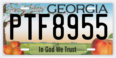 GA license plate PTF8955