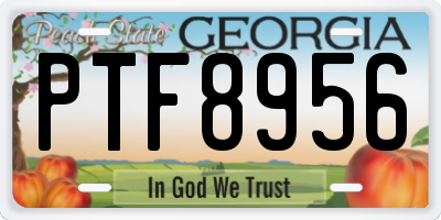 GA license plate PTF8956
