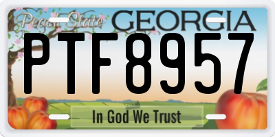 GA license plate PTF8957