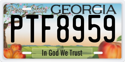 GA license plate PTF8959