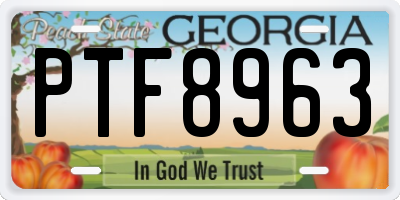 GA license plate PTF8963