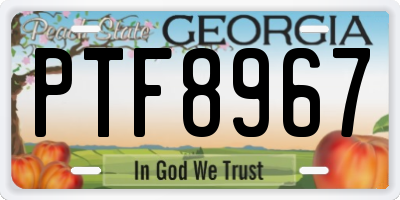 GA license plate PTF8967