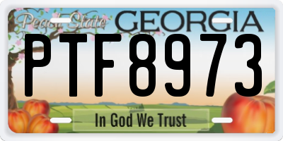 GA license plate PTF8973