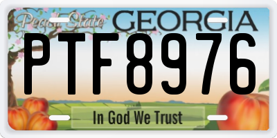GA license plate PTF8976