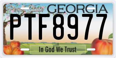 GA license plate PTF8977