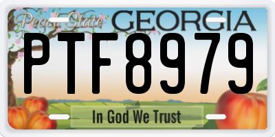 GA license plate PTF8979