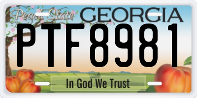 GA license plate PTF8981