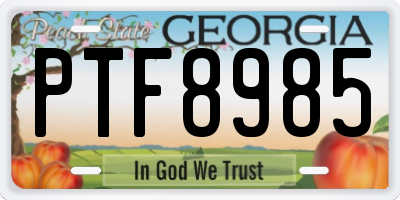 GA license plate PTF8985