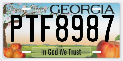 GA license plate PTF8987