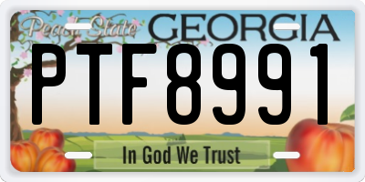 GA license plate PTF8991