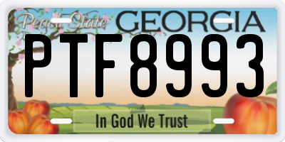 GA license plate PTF8993