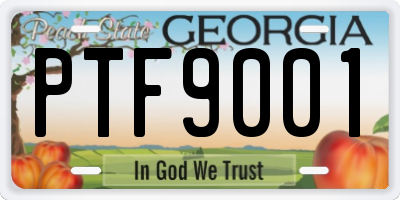 GA license plate PTF9001