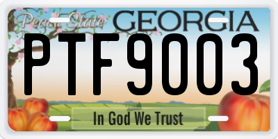 GA license plate PTF9003
