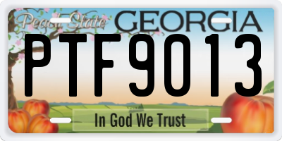 GA license plate PTF9013