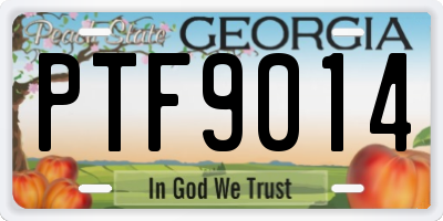GA license plate PTF9014