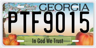 GA license plate PTF9015