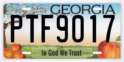 GA license plate PTF9017