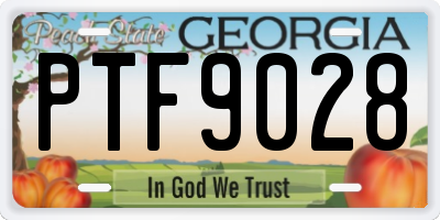 GA license plate PTF9028